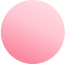 Lys pink